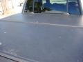 Pueblo Gold Metallic - Explorer Sport Trac XLT Photo No. 17