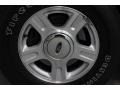 2003 Black Clearcoat Ford Expedition Eddie Bauer  photo #8