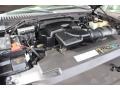 2003 Black Clearcoat Ford Expedition Eddie Bauer  photo #39