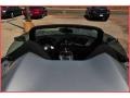 Silver Pearl - Sky Roadster Photo No. 19