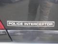 Silver Birch Metallic - Crown Victoria Police Interceptor Photo No. 10