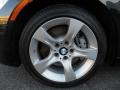  2013 3 Series 335i xDrive Coupe Wheel