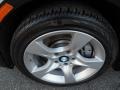 2013 Black Sapphire Metallic BMW 3 Series 335i xDrive Coupe  photo #30