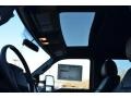 Ruby Red Metallic - F350 Super Duty Platinum Crew Cab 4x4 Photo No. 18