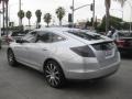 Alabaster Silver Metallic - Accord Crosstour EX-L Photo No. 4