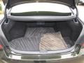 Cashmere Trunk Photo for 2010 Lexus LS #89505526