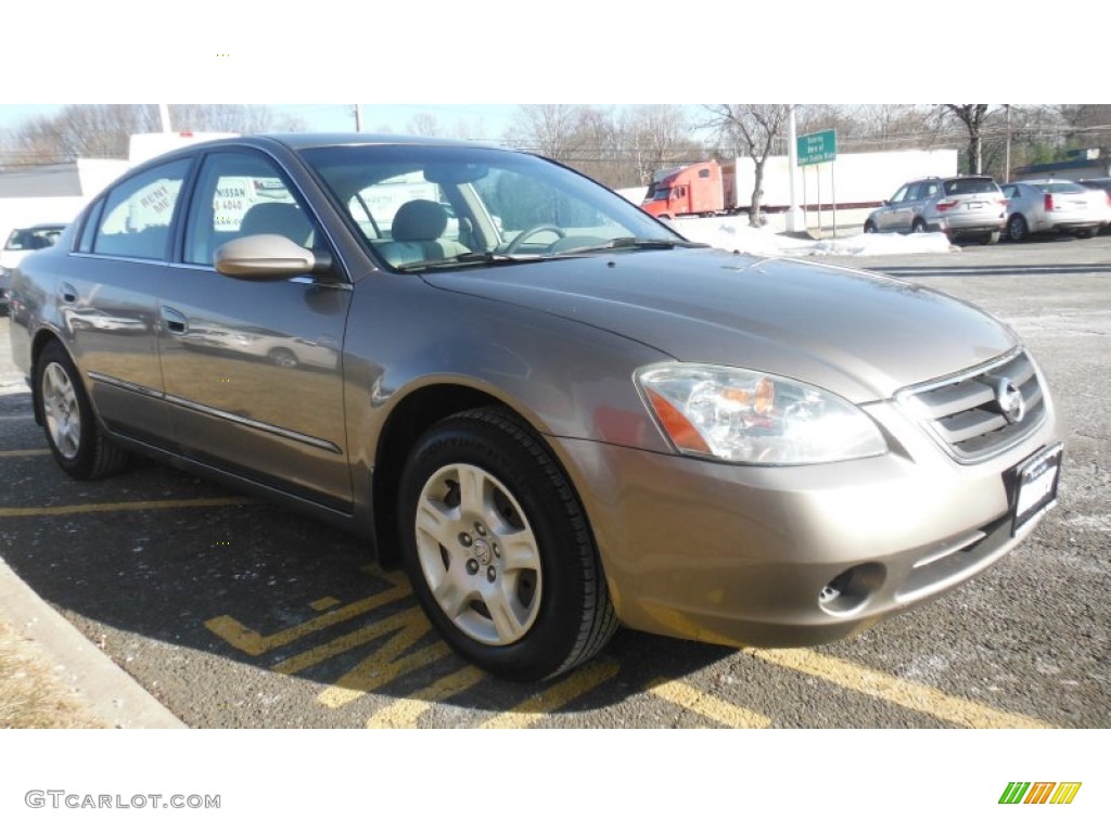 2004 Altima 2.5 S - Polished Pewter / Frost Gray photo #3