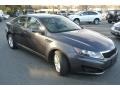Platinum Graphite - Optima LX Photo No. 2