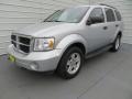 2009 Bright Silver Metallic Dodge Durango SE 4x4  photo #7