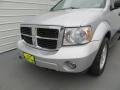 Bright Silver Metallic - Durango SE 4x4 Photo No. 12