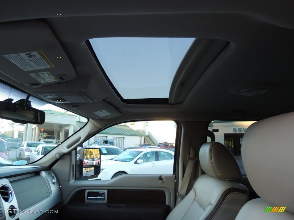 2010 F150 Platinum SuperCrew 4x4 - Ingot Silver Metallic / Medium Stone Leather/Sienna Brown photo #4