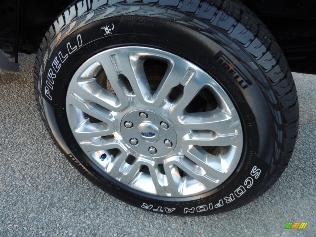 2010 F150 Platinum SuperCrew 4x4 - Ingot Silver Metallic / Medium Stone Leather/Sienna Brown photo #18