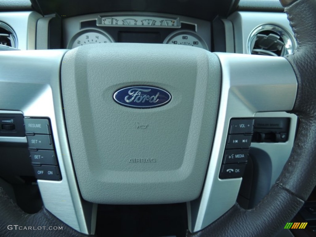 2010 F150 Platinum SuperCrew 4x4 - Ingot Silver Metallic / Medium Stone Leather/Sienna Brown photo #24