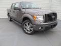 Sterling Grey 2014 Ford F150 STX SuperCrew Exterior