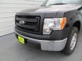 2014 Tuxedo Black Ford F150 XL Regular Cab  photo #10