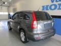 Polished Metal Metallic - CR-V EX 4WD Photo No. 3
