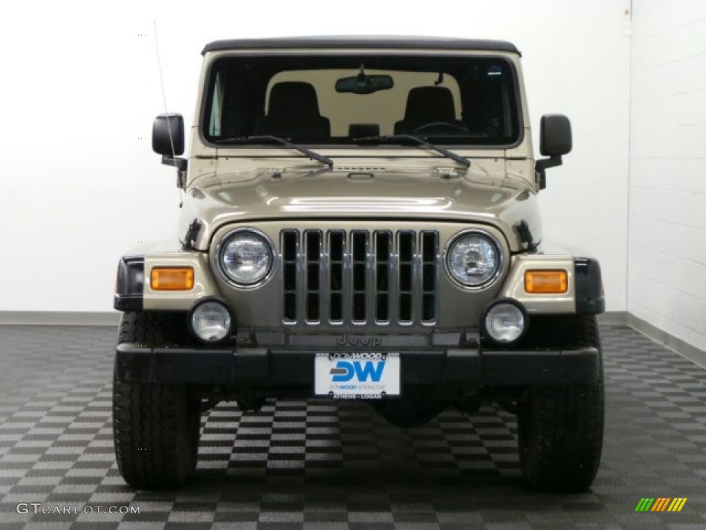2004 Wrangler Rubicon 4x4 - Light Khaki Metallic / Dark Slate Gray photo #2