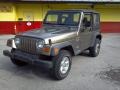 2002 Light Khaki Metallic Jeep Wrangler X 4x4  photo #1