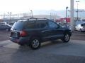 2001 Obsidian Black Hyundai Santa Fe GLS V6  photo #12