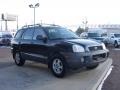 2001 Obsidian Black Hyundai Santa Fe GLS V6  photo #14