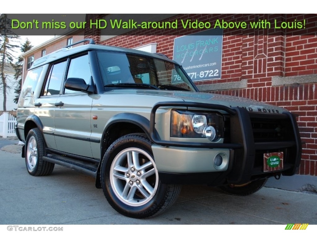 2003 Discovery SE - Vienna Green / Alpaca Beige photo #2