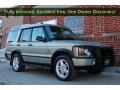 2003 Vienna Green Land Rover Discovery SE  photo #10