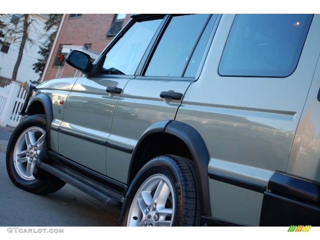 2003 Discovery SE - Vienna Green / Alpaca Beige photo #15