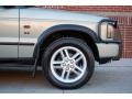 2003 Vienna Green Land Rover Discovery SE  photo #24