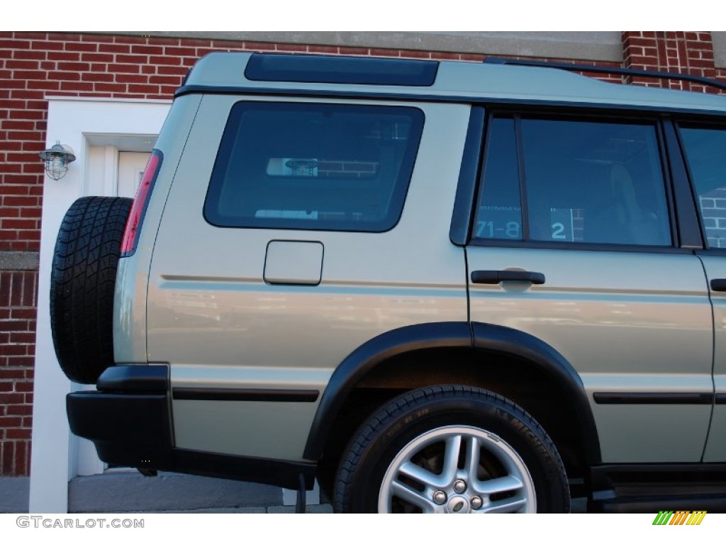 2003 Discovery SE - Vienna Green / Alpaca Beige photo #28