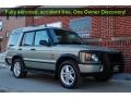 2003 Vienna Green Land Rover Discovery SE  photo #100