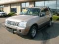 Light French Silk Metallic - Mountaineer V8 AWD Photo No. 1