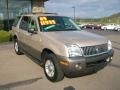 Light French Silk Metallic - Mountaineer V8 AWD Photo No. 3