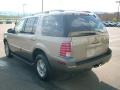 Light French Silk Metallic - Mountaineer V8 AWD Photo No. 9