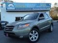 2008 Natural Khaki Green Hyundai Santa Fe Limited 4WD  photo #1