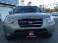 2008 Natural Khaki Green Hyundai Santa Fe Limited 4WD  photo #4