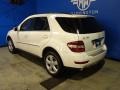 Arctic White - ML 350 4Matic Photo No. 10