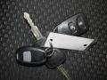 Platinum Silver - Accent GS 3 Door Photo No. 18