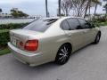 2000 Burnished Gold Metallic Lexus GS 300  photo #9
