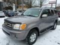 2002 Thunder Gray Metallic Toyota Sequoia Limited 4WD  photo #3