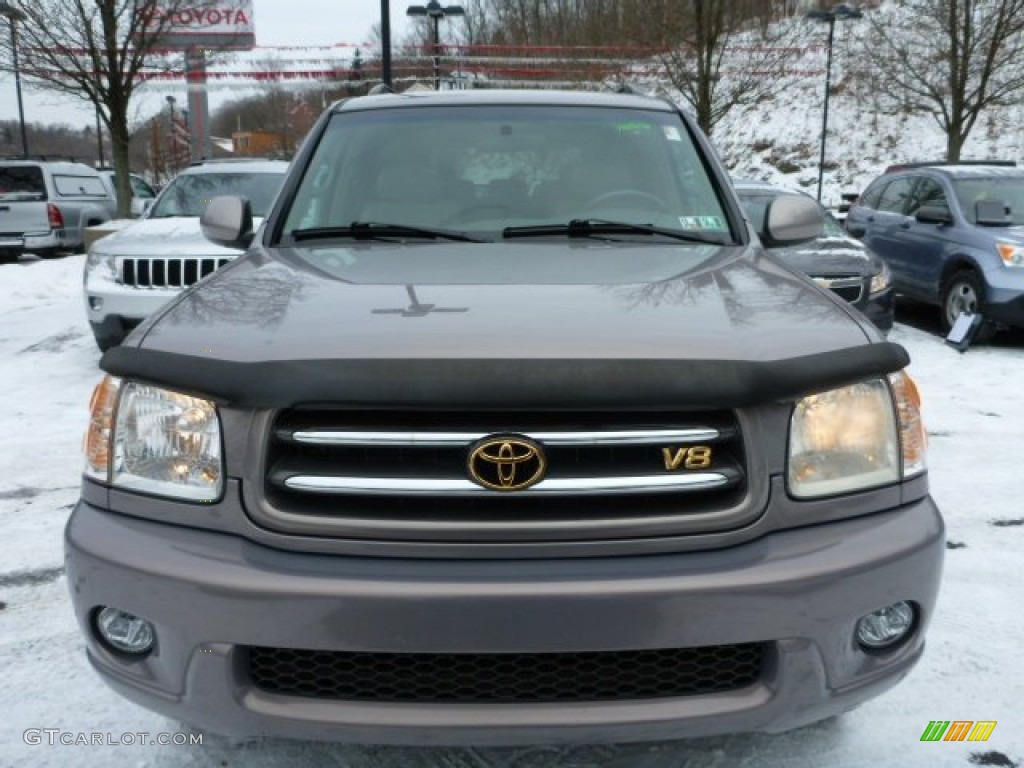 2002 Sequoia Limited 4WD - Thunder Gray Metallic / Oak photo #17