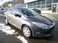 Sterling Grey Metallic - Focus SE Sedan Photo No. 8
