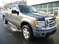 Sterling Grey Metallic 2010 Ford F150 XLT SuperCab 4x4 Exterior