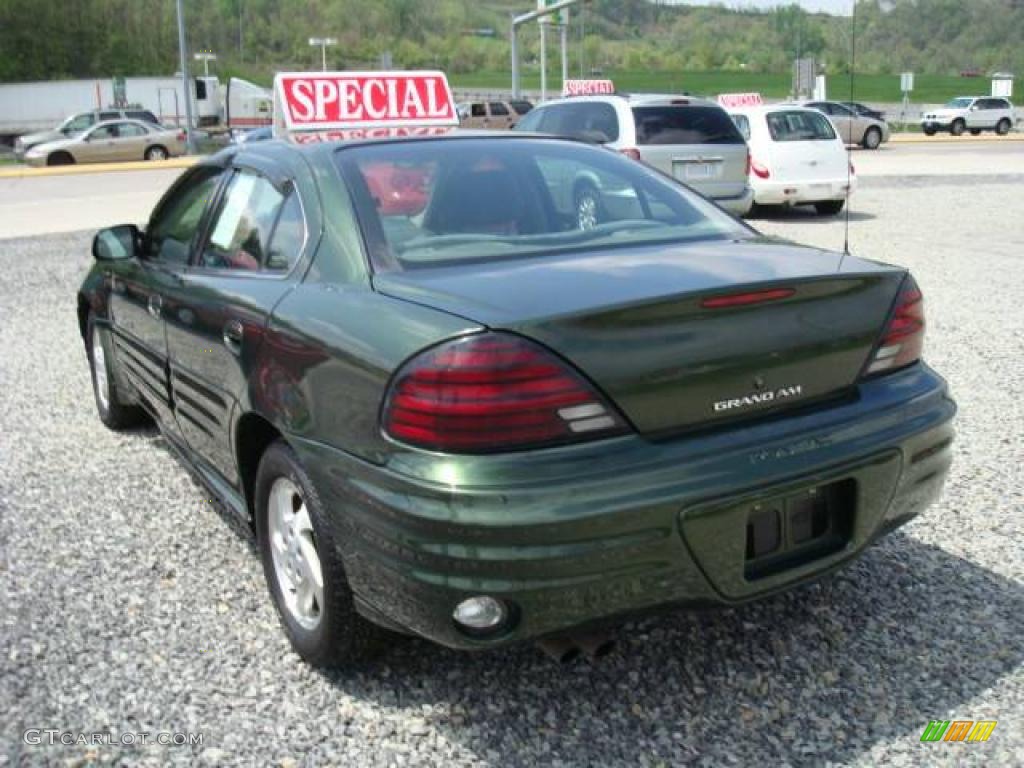 2000 Grand Am SE Sedan - Spruce Green Metallic / Dark Pewter photo #2