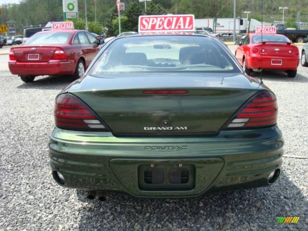 2000 Grand Am SE Sedan - Spruce Green Metallic / Dark Pewter photo #3