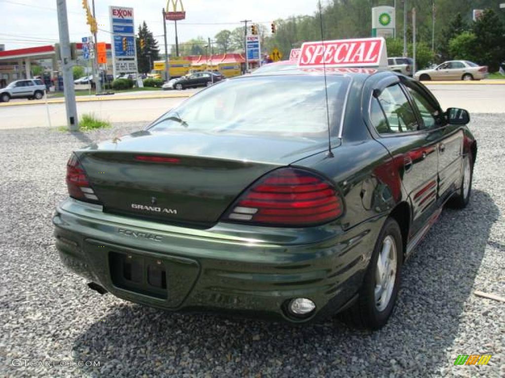2000 Grand Am SE Sedan - Spruce Green Metallic / Dark Pewter photo #4