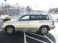 Millenium Silver Metallic - Highlander  Photo No. 5