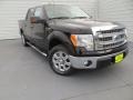 2014 Kodiak Brown Ford F150 XLT SuperCrew  photo #1