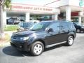 Labrador Black Pearl 2009 Mitsubishi Outlander ES