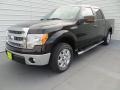 2014 Kodiak Brown Ford F150 XLT SuperCrew  photo #7