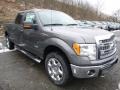 2014 Sterling Grey Ford F150 XLT SuperCrew 4x4  photo #1